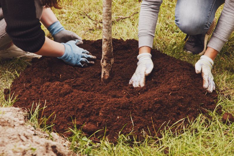 Contact About Tree Transplanting