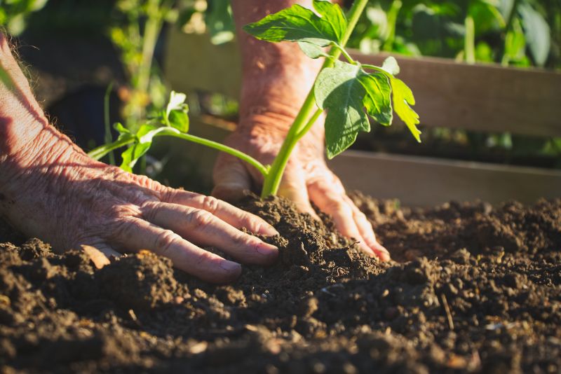 Spring Garden Maintenance in Honolulu, HI